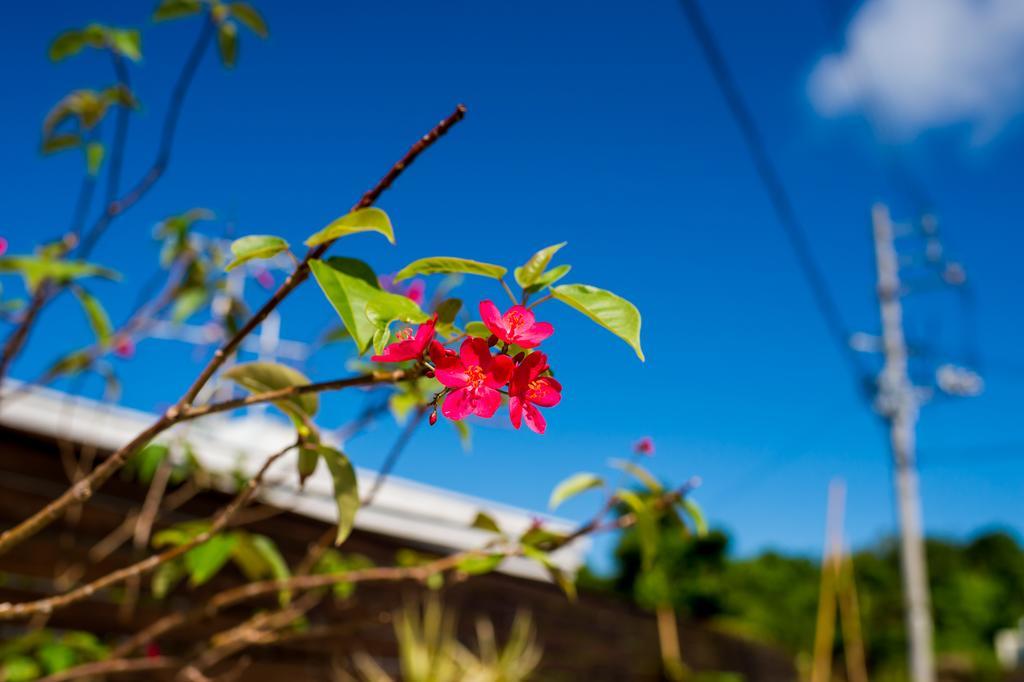 United Resort Yomitan Okinawa Dış mekan fotoğraf